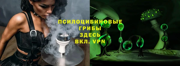 таблы Новодвинск