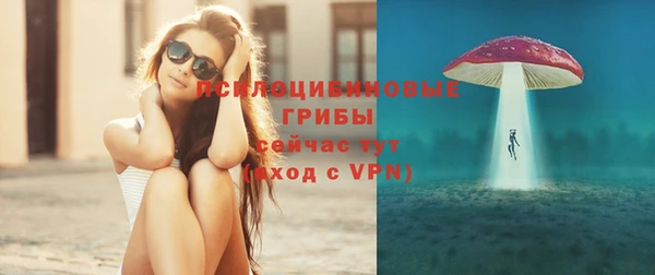 твердый Дмитров