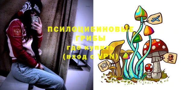 герыч Новокубанск