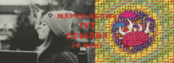 таблы Новодвинск