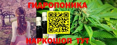 jwh Абакан