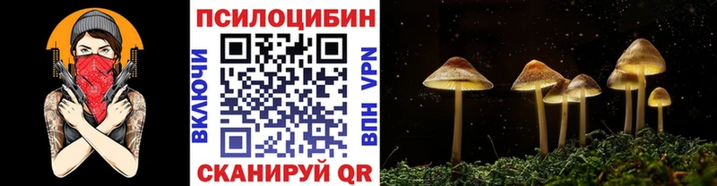 Псилоцибиновые грибы мицелий  цена   Алейск 