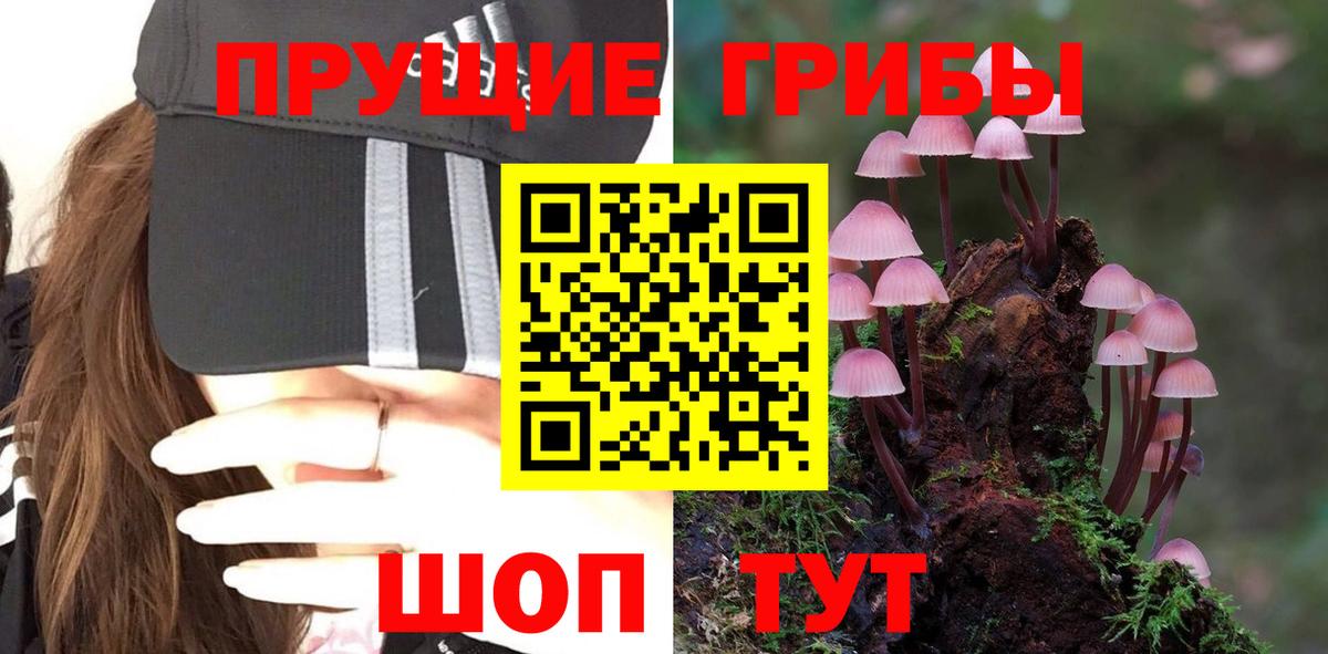 Галлюциногенные грибы ЛСД  Вход с VPN  Псилоцибиновые грибы Psilocybe  Алейск 