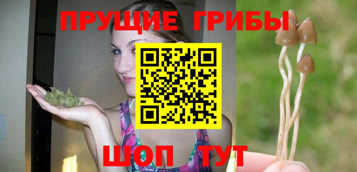 Псилоцибиновые грибы MAGIC MUSHROOMS  Вход с VPN  Галлюциногенные грибы GOLDEN TEACHER  Алейск 